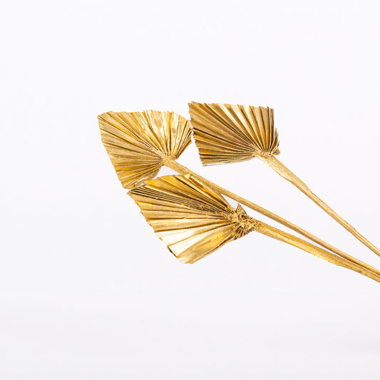 Mini Gold Palm Spears