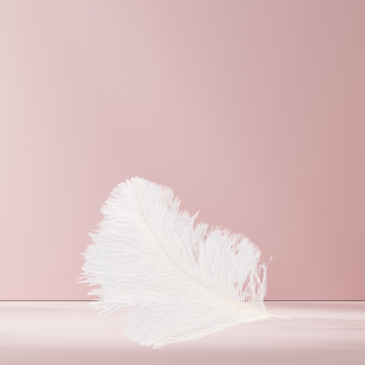 Large White Ostrich Feather