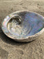 Smudging dish abalone shell