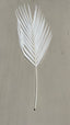 Luxe Pure White Palm Leaf