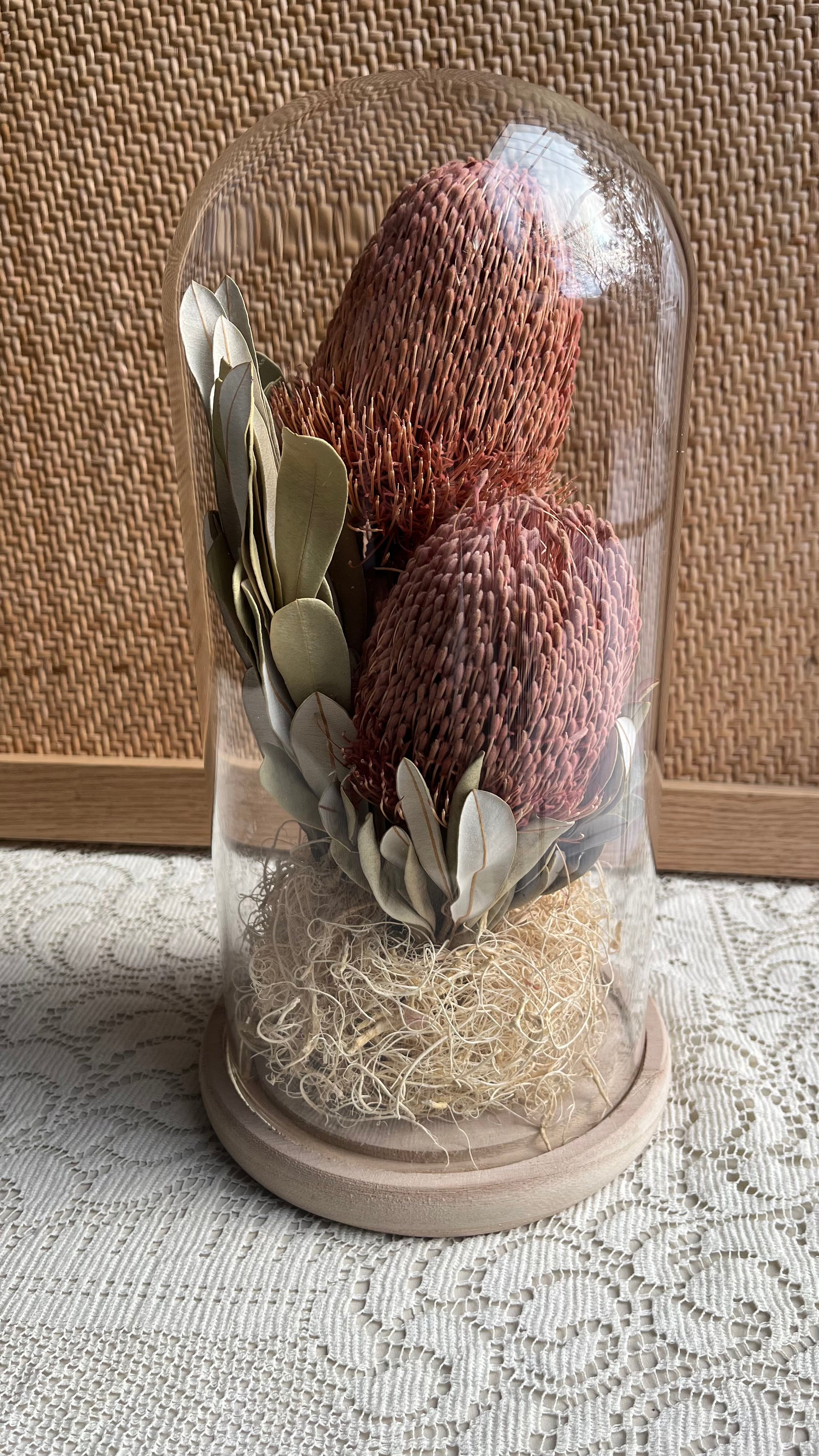 Banksia dried flowers