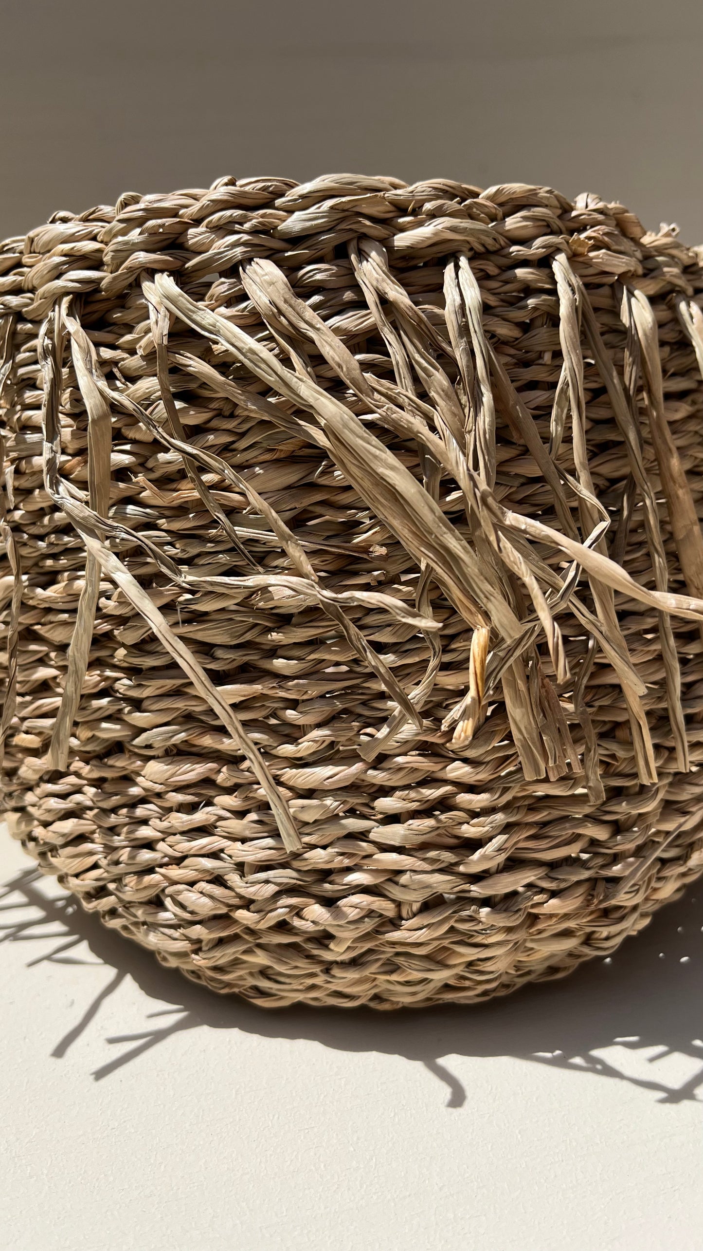 Grass Fringe Basket